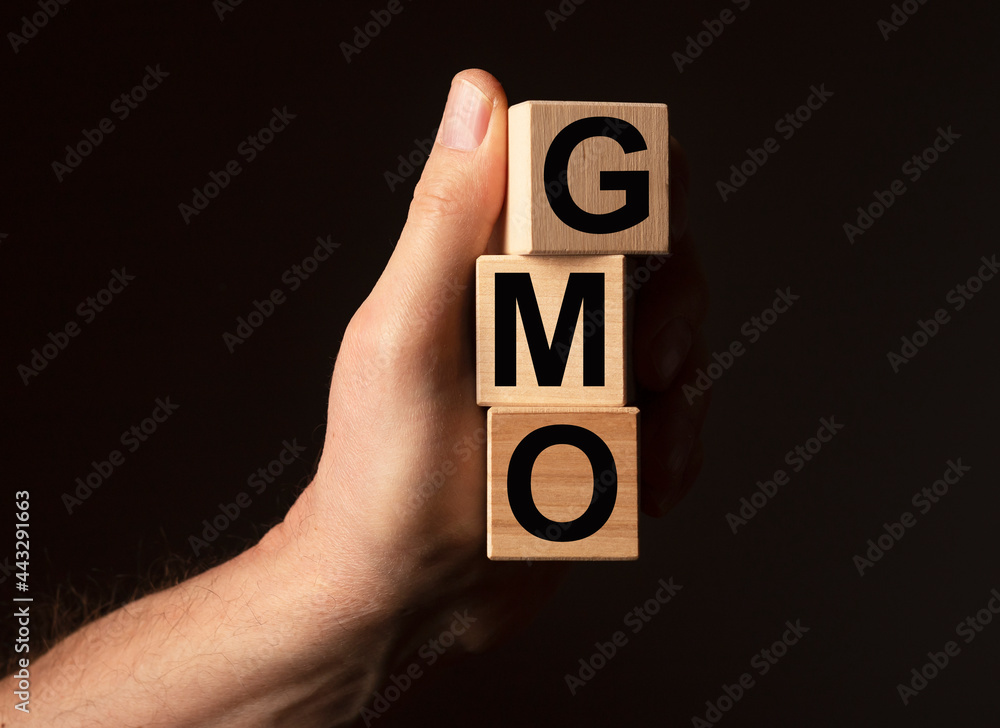Poster gmo word on cube blocks in male hand on black background with copy space.