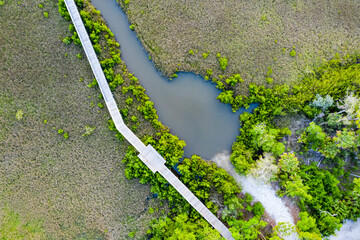Aerial View of Florida Wetlands and Wooden Walkway Over Marsh. - obrazy, fototapety, plakaty