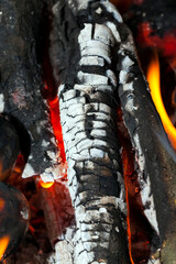 burning logs at the time of preparation