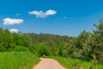 Obraz premium landscape with sky