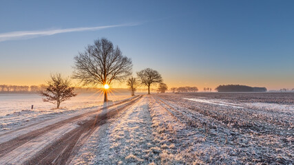 Morning winter scene, sunrise on winter morning ligth snow on field road track fading to horizon sun rays through tree branches blue sky with orange glow warm and cold