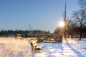 Morning sunrise in the snow, sunrise on winter morning ligth snow on field with wooden fence sun rays through tree branches blue sky nice shadows forest on background