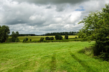 Obraz premium Rolling hills, Sutton Scotney, Hampshire, England