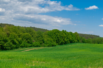 field and sky