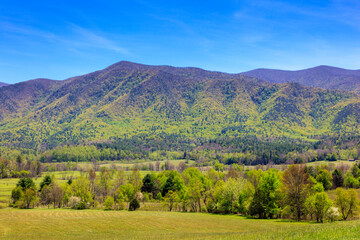 Cades cove ridge
