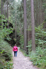 Frau auf dem Malerweg im Uttewalder Grund