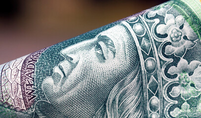 Polish money