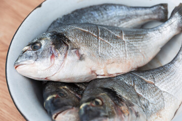 Fresh raw dorado in a bowl. Healthy eating. Close-up. Selective focus.