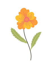 Spring flower. Botanical floral icon design. Garden plant on white background. Colorful flat vector illustration. Good decoration for wedding invitation or scrapbook