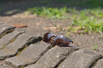Black Glasses or sun glasses with vintage style and blurred background