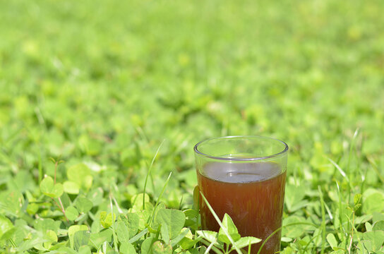Iced Coffee in the glass refreshing look with green grass background. selective focus