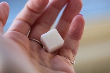 closeup hand of a person with sugar cube