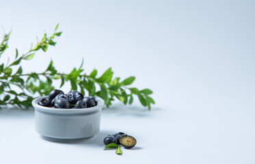 sweet fresh blueberries in a bowl with a green branch on a blue background. Front view and copy space