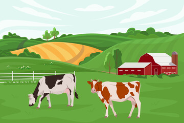 Vector illustration of a cow farm and agriculture. Cattle breeding. Summer rural landscape with a farm and cows eating grass. Design elements for infographics, websites and print media