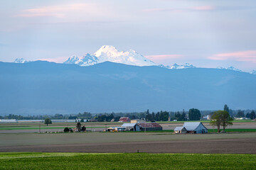 Mount Baker Jutting over a farm on a beautiful Pacific Northwest Scenery