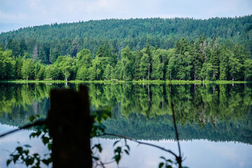 Fototapeta premium Nature trail - nature reserve Kladska peat bogs in the Region of Karlovy Vary in Czech Republic. Selective focus