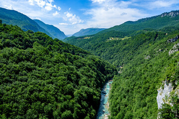 View from the bridge of Djurdjevic to the canyon and the river Tara - obrazy, fototapety, plakaty