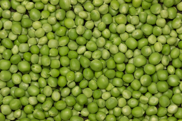 Green peas background. A lot of fresh pea seed