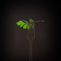 fork parsley leaves on black background