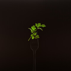 fork parsley leaves on black background
