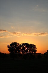 Sunset over polish filds. 