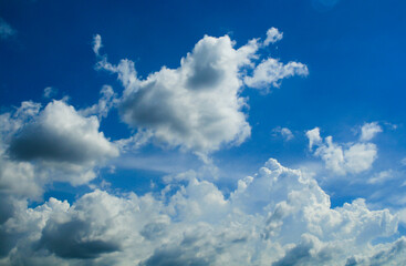 Naklejka na ściany i meble blue sky and clouds