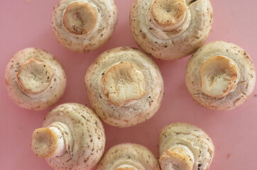 Edible White Button mushroom background with pink floor