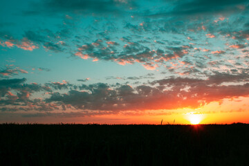 sunset in the blue sky. nature