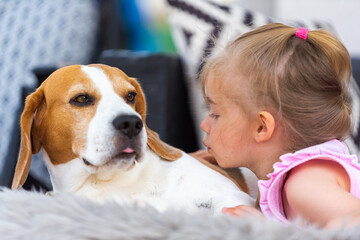 Child cuddle a dog on backyard sofa. Happy childhood with beagle pet.