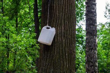 A white plastic canister is tied to a tree branch.
