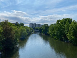 park in the city with a river during summer