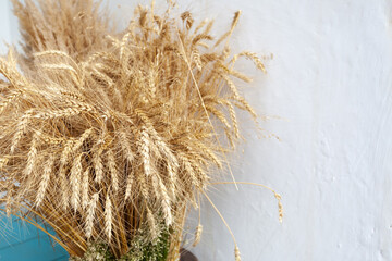 A bouquet of yellow wheat at the white village wall, a place under the text