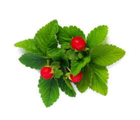 Pattern from garland with leaves and berries, isolated on white background, flat lay, top view. The concept of summer, spring, Mother's Day.
