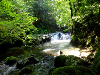 Obraz premium cascades de Chiloza- Besse- 63