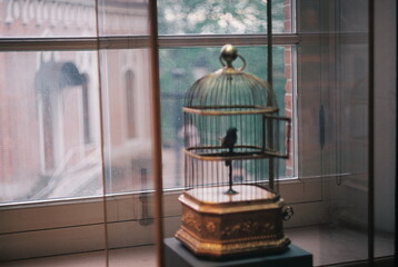 the bird in the cage