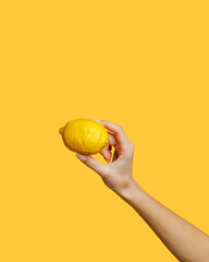 The hand holds the lemon. The concept of veganism and healthy eating.