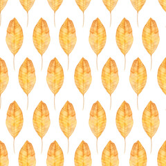 Pattern of walnut leaves, isolated on white background. Watercolor autumn leaves are hand drawn. Suitable for printed and stationery products, textiles, wallpapers.