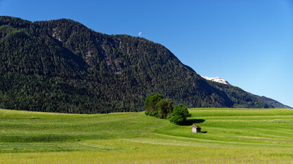 Grüne Weide in Tirol