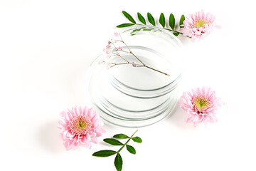 Petri dish with flowers. laboratory botanical background. laboratory clinical development, natural ingredients