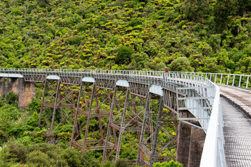 Fototapeta premium Train tracks at the old coach road, New Zealand