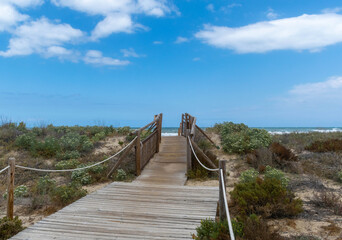 Fototapeta na wymiar Puente de madera hacia la playa con dunas alrededor