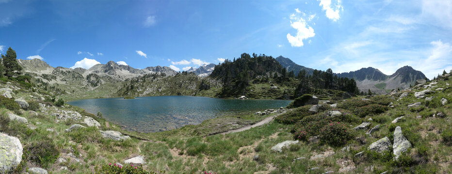 panorama