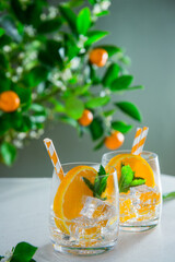 Two refreshing fruits cocktails with orange, mint and ice on white table with a citrus tree background. Summer bar drinks. Vertucal card. Selective fiocus, copy space.