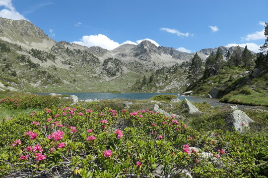 Lac de Tracens