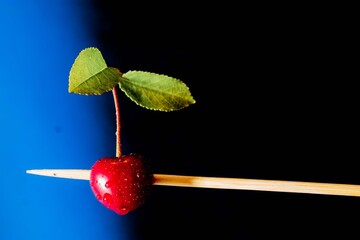 Red cherry stuffed on a wooden toothpick. Cherry with two green leaves on a black background. Sparks and navy blue smoke float all around. Abstraction.