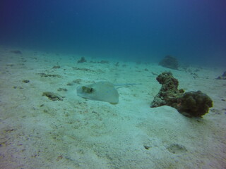 DCIM\100GOPRO\GOPR1617.