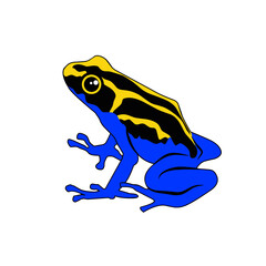 Vector graphic illustration of poison frog. A very poisonous frog from the amazon forest in blue and yellow. Perfect for web and logo designs.