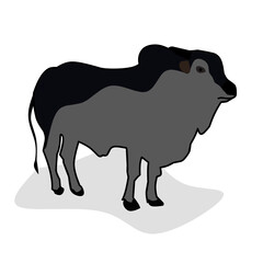 Vector illustration of a big cow. A big cow on a white background. Perfect for web and logo designs.