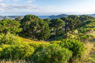 Obraz premium Beautiful New Zealand landscape from Mount Victoria in Wellington
