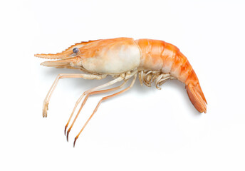 top view of river prawns on white background